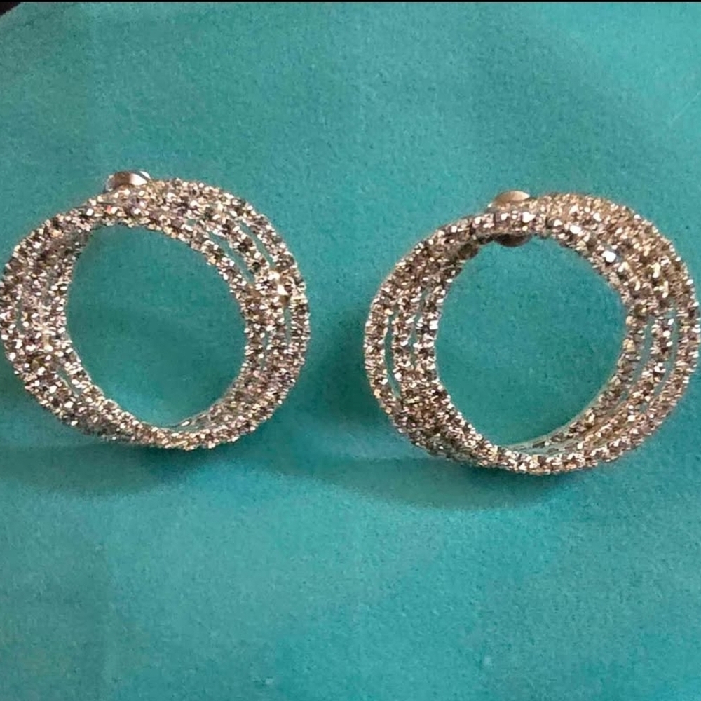 Elegant Silver Hoop Earrings